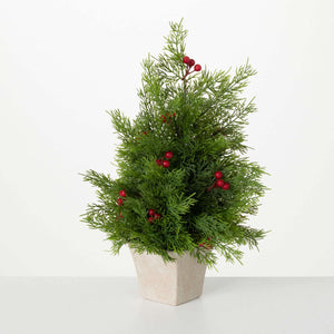 Sullivans Potted Cedar And Red Berry Tree TR1129