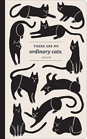 Compendium No Ordinary Cats Journal 6281
