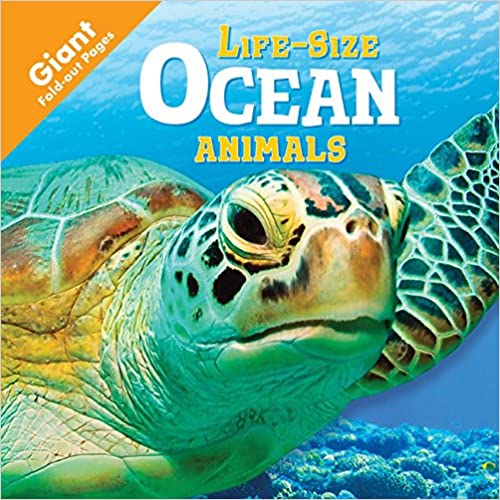 Book: Life size Ocean Animals