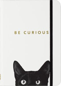 Small Journal: Curious Cat