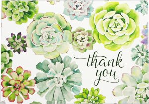 Thank you Notes--Succulent Garden