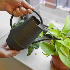 Industrial watering can