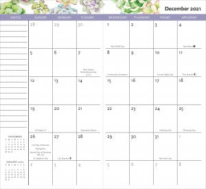 Pocket Planner (24-month calendar): Succulent Garden